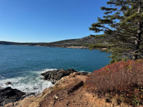 Acadia Horizon Cottage